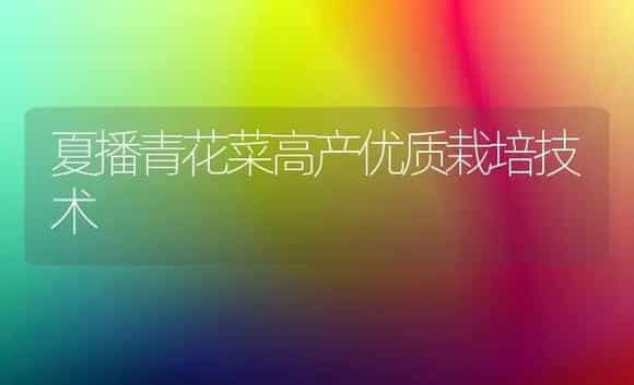 夏播青花菜高产优质栽培技术 | 植物科普