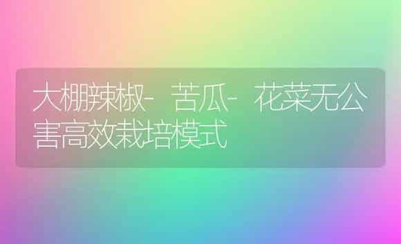 大棚辣椒-苦瓜-花菜无公害高效栽培模式 | 植物科普