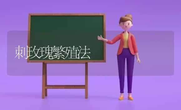 刺玫瑰繁殖法 | 植物科普