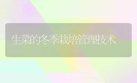 生菜的冬季栽培管理技术 | 植物科普