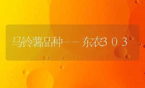 马铃薯品种--东农303 | 植物百科