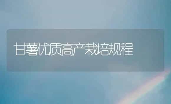 品种介绍--红地球番茄 | 植物科普