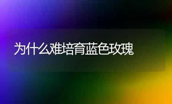 为什么难培育蓝色玫瑰 | 植物科普