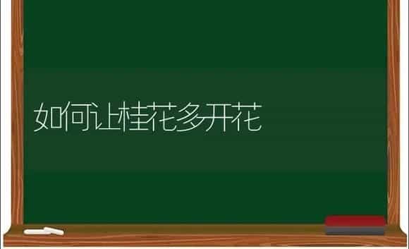 如何让桂花多开花 | 植物科普