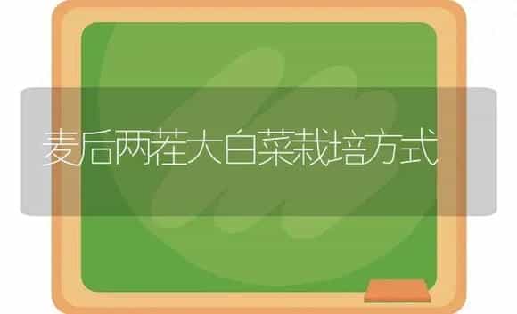 麦后两茬大白菜栽培方式 | 植物科普