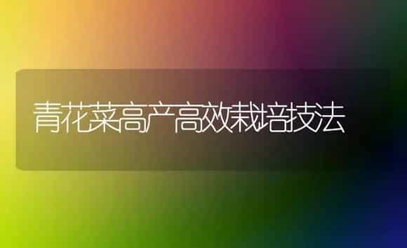 青花菜高产高效栽培技法 | 植物科普