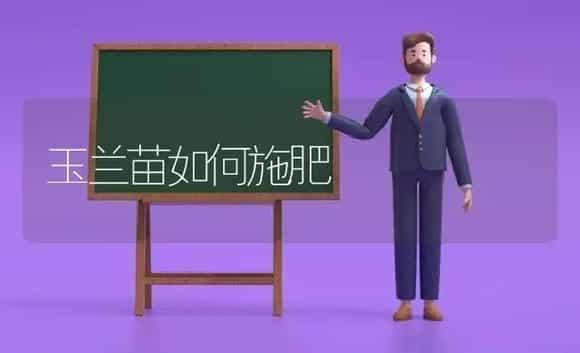 9℃郁金香种球栽培技术 | 植物科普