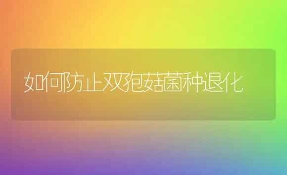 玫瑰高效栽培技术-花卉苗木养护管理 | 植物科普