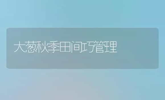 大葱秋季田间巧管理 | 植物科普