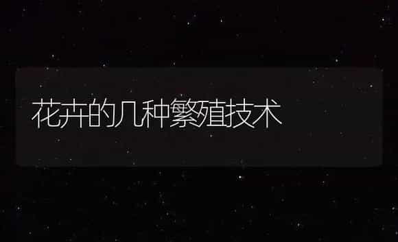 花卉的几种繁殖技术 | 植物知识