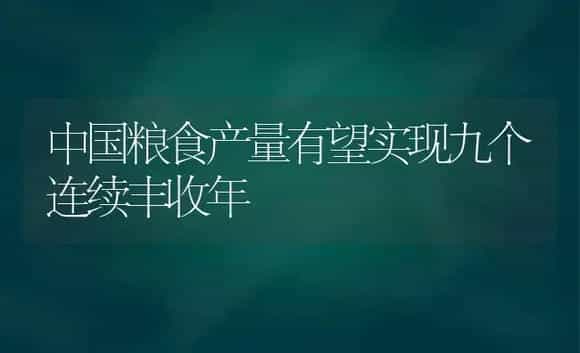 中国粮食产量有望实现九个连续丰收年 | 植物科普