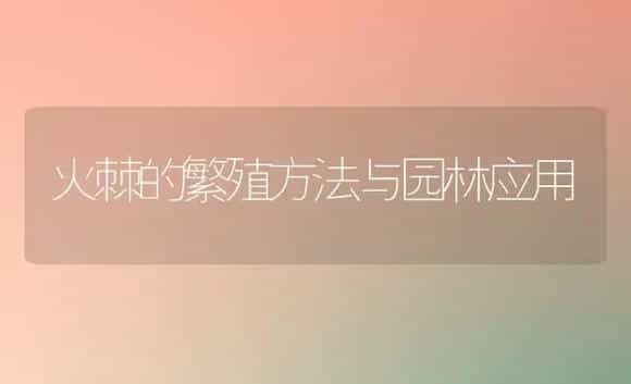 火棘的繁殖方法与园林应用 | 植物知识