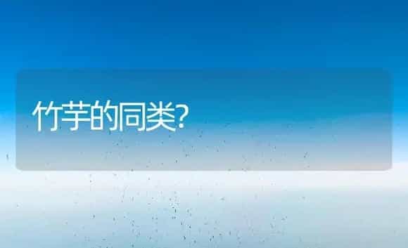 竹芋的同类？ | 植物问答