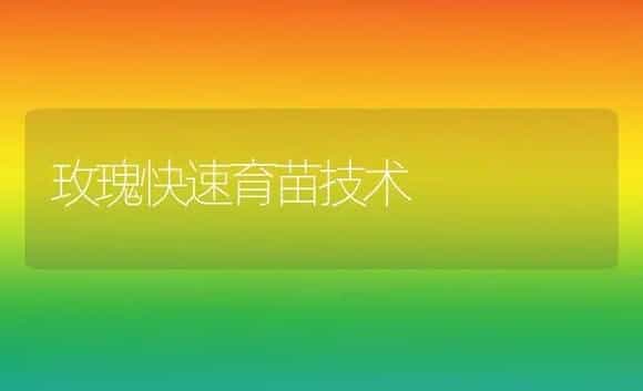 玫瑰快速育苗技术 | 植物科普