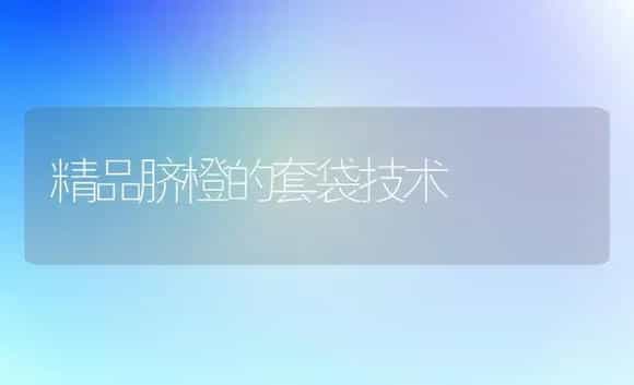 精品脐橙的套袋技术 | 植物科普