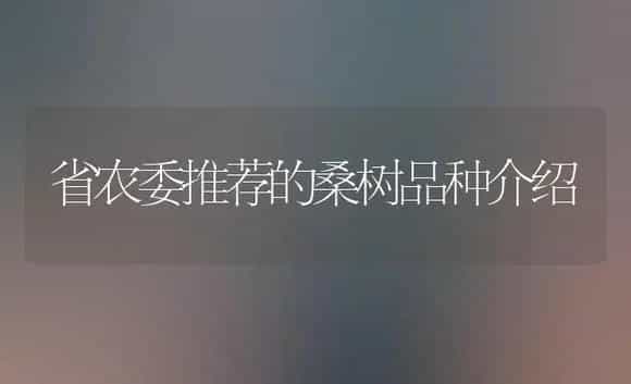 省农委推荐的桑树品种介绍 | 植物科普