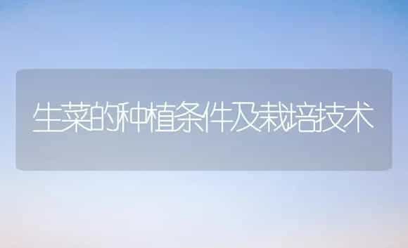 生菜的种植条件及栽培技术 | 植物科普