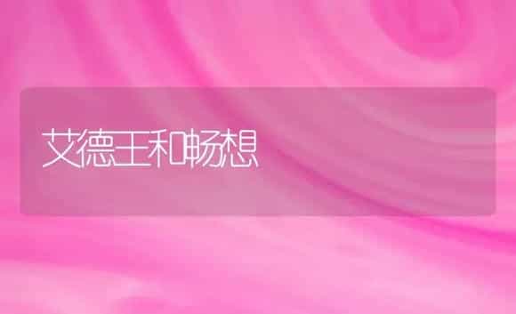 荷兰大丽花 栽培指南 | 植物科普