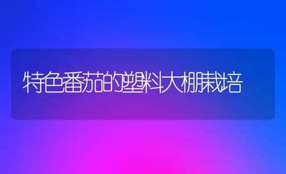 特色番茄的塑料大棚栽培 | 植物科普