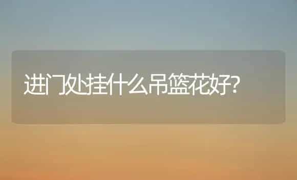 进门处挂什么吊篮花好? | 植物问答