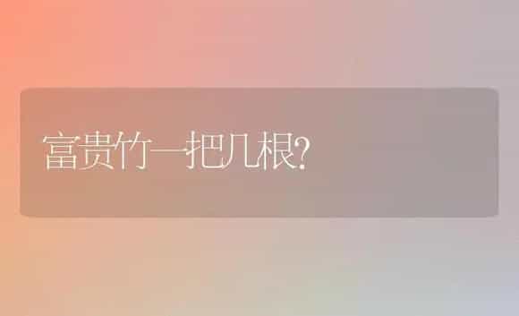 富贵竹一把几根？ | 植物问答