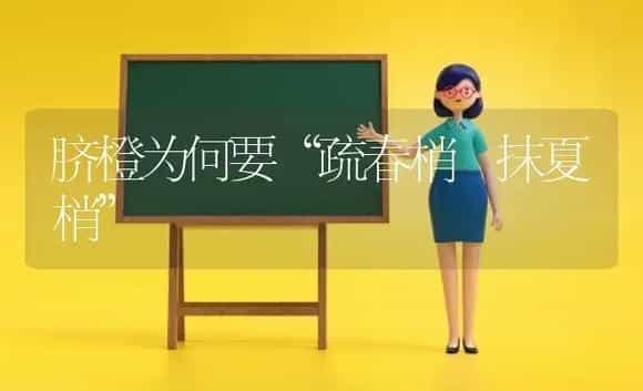 脐橙为何要“疏春梢 抹夏梢” | 植物科普