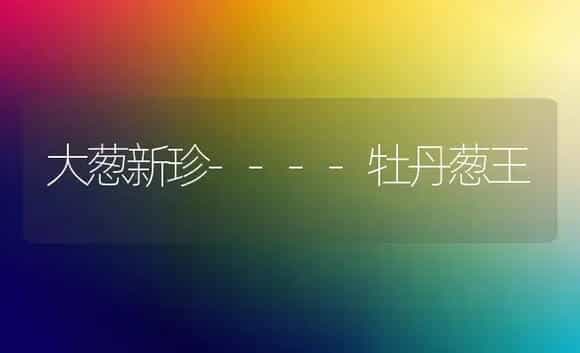 大葱新珍----牡丹葱王 | 植物科普