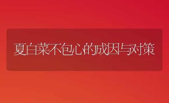 夏白菜不包心的成因与对策 | 植物科普