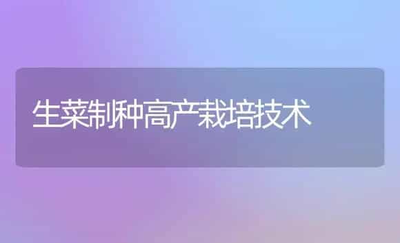 生菜制种高产栽培技术 | 植物科普