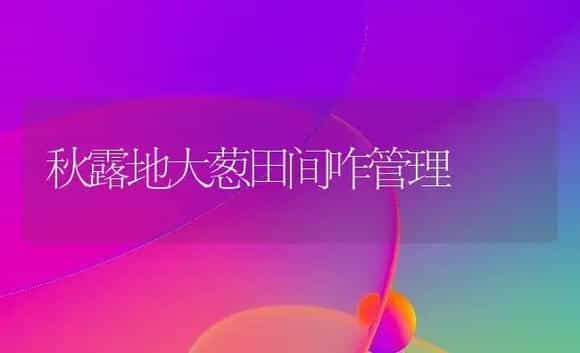 秋露地大葱田间咋管理 | 植物科普