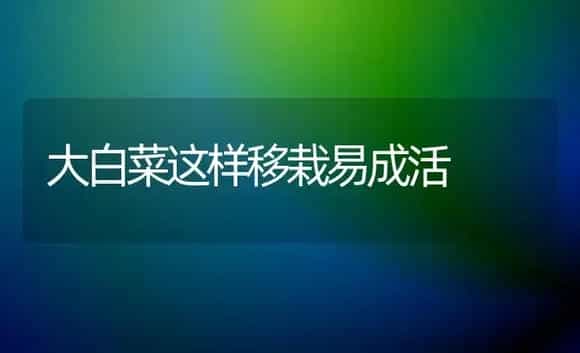 大白菜这样移栽易成活 | 植物科普