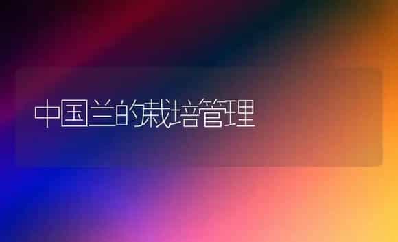 中国兰的栽培管理 | 植物科普