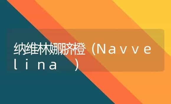 纳维林娜脐橙（Navvelina ） | 植物科普
