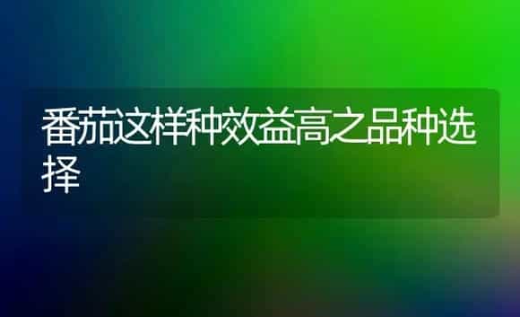 番茄这样种效益高之品种选择 | 植物科普