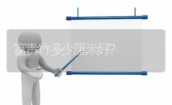 富贵竹多少厘米好？ | 植物问答