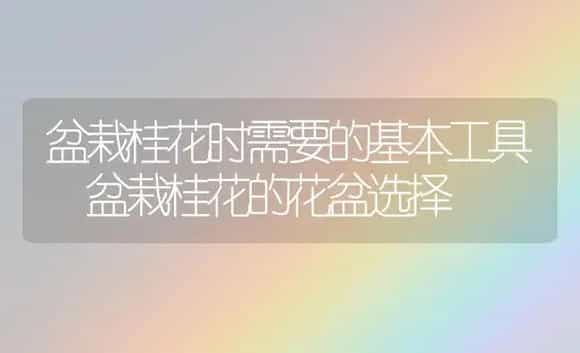 盆栽桂花时需要的基本工具 盆栽桂花的花盆选择 | 植物科普