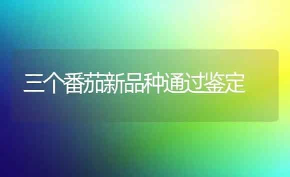 三个番茄新品种通过鉴定 | 植物科普