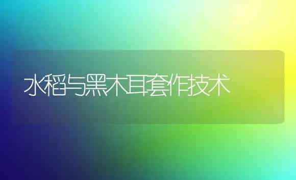 水稻与黑木耳套作技术 | 植物科普