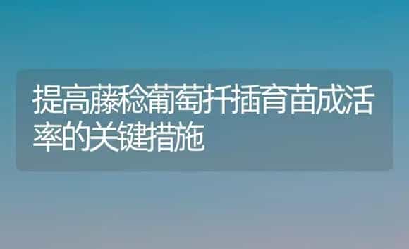 提高藤稔葡萄扦插育苗成活率的关键措施 | 植物科普