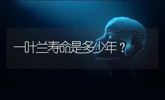 一叶兰寿命是多少年？ | 植物问答