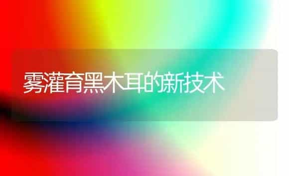 雾灌育黑木耳的新技术 | 植物科普