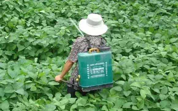 十种提高农药利用率的方法技巧