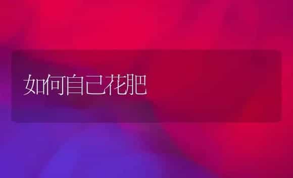 海涂贡枣的栽植与施肥技术 | 植物肥料