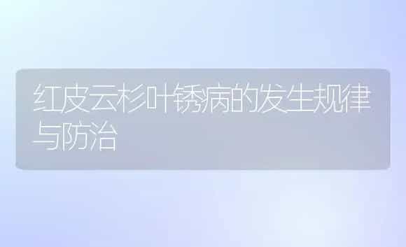红皮云杉叶锈病的发生规律与防治 | 植物病虫害