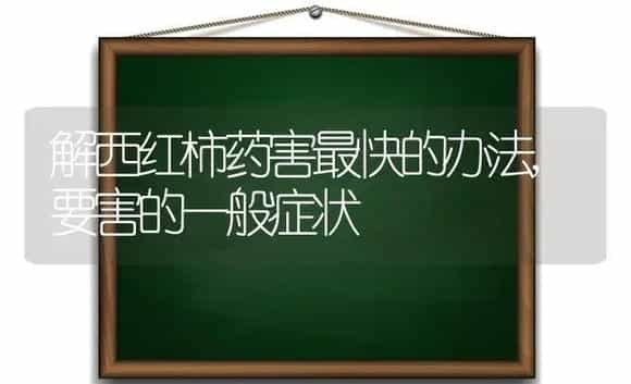 解西红柿药害最快的办法,要害的一般症状 | 植物农药