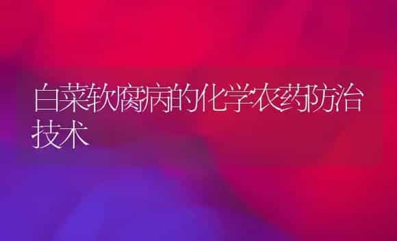 白菜软腐病的化学农药防治技术 | 植物病虫害
