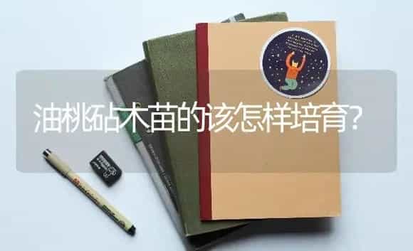 油桃砧木苗的该怎样培育? | 蔬菜种植