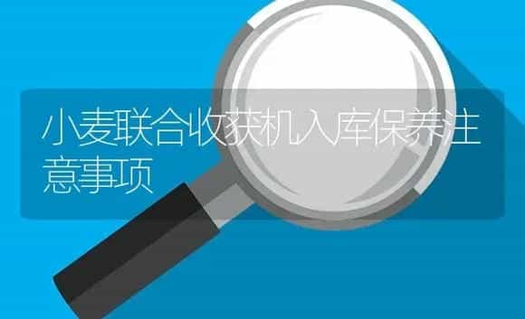 小麦联合收获机入库保养注意事项 | 农资农机