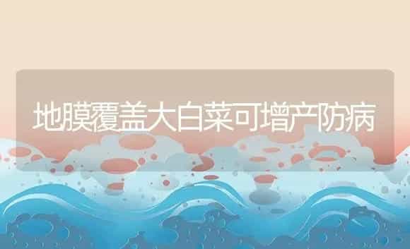 地膜覆盖大白菜可增产防病 | 植物病虫害