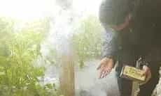怎样使用烟剂防治温室病虫害